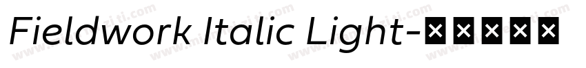 Fieldwork Italic Light字体转换